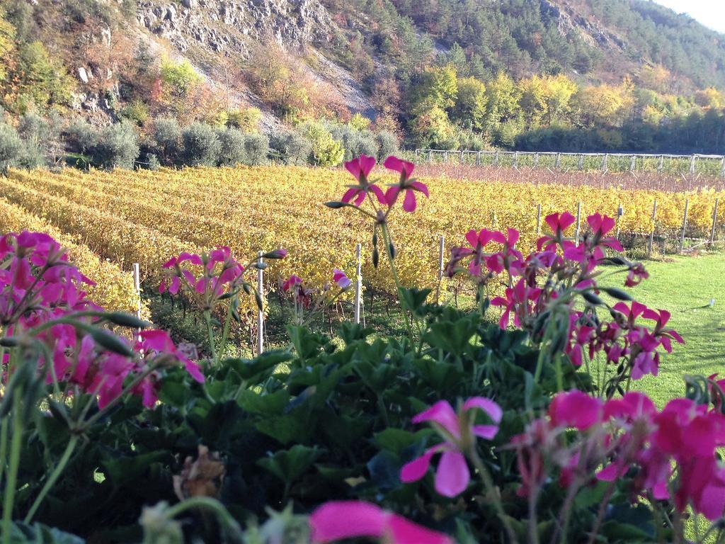 Pergolese Agritur Ai Masiヴィラ エクステリア 写真